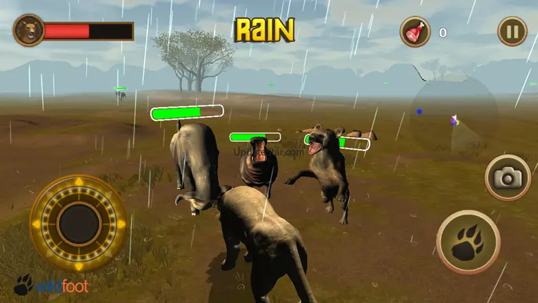 Lion Chase 1.1