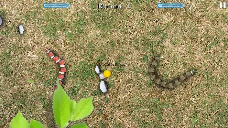 Snake Touch 2.4.0