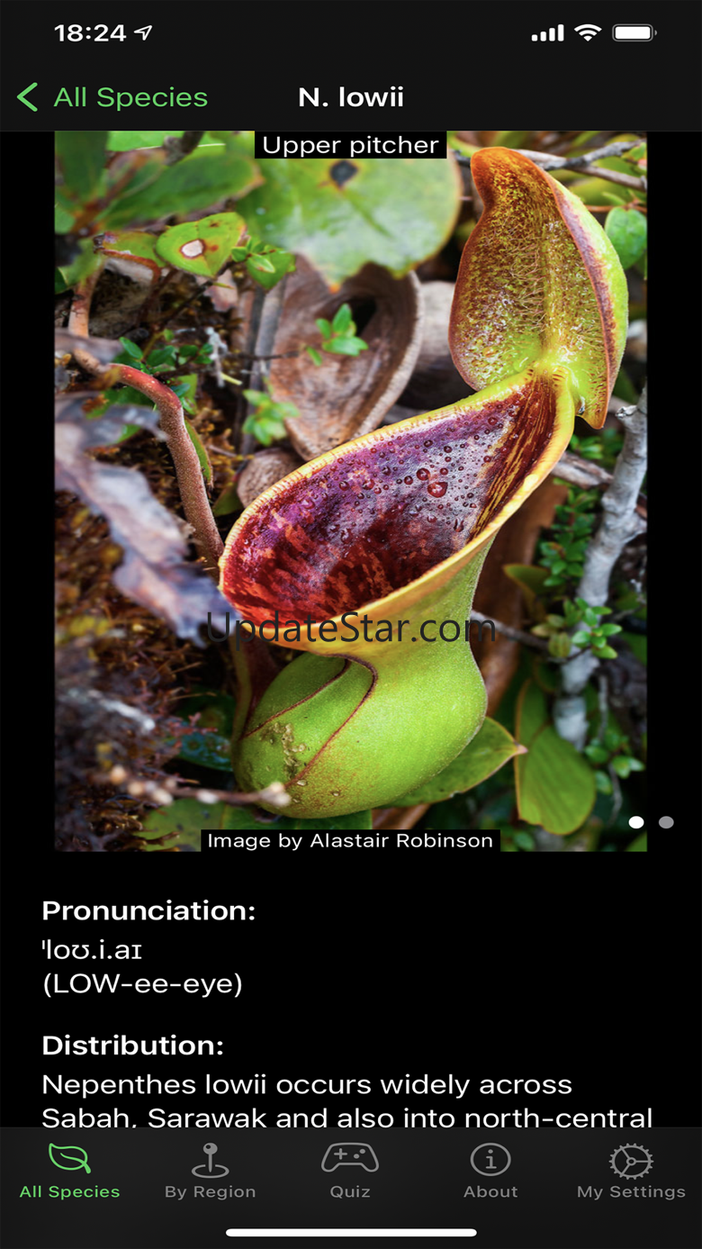 Nepy 3.0.2