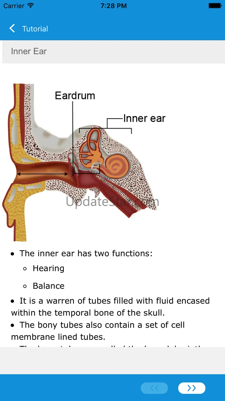ENT and Orthopedics 3.0