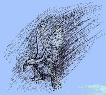 Drawsum.com