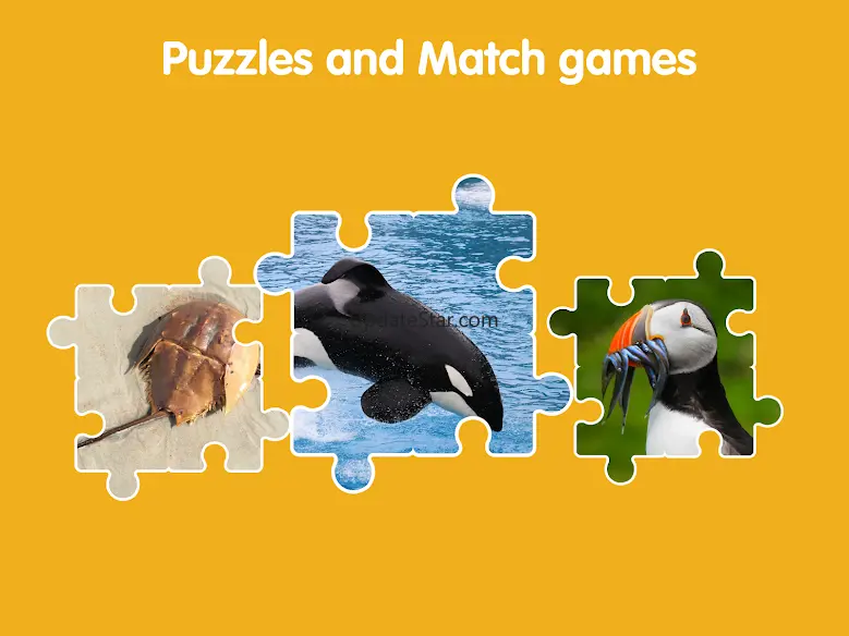 Learn Ocean Animals for kids 2.3