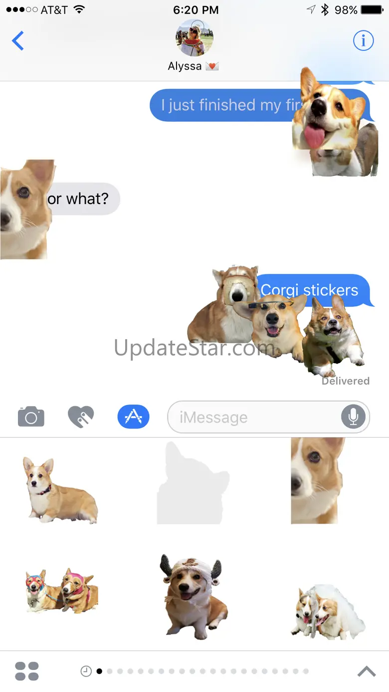 Corky Corgi 2.1