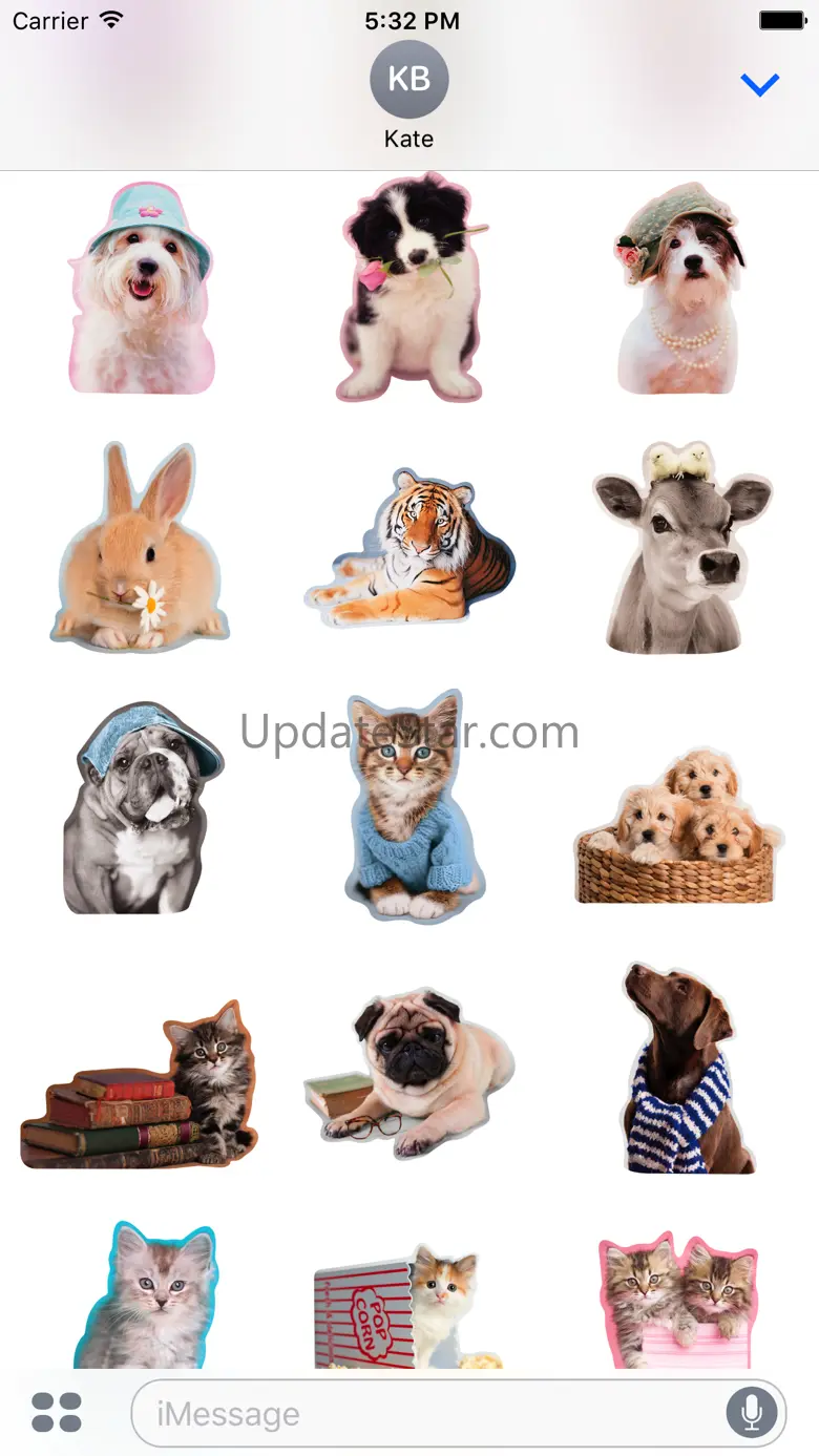Adorable Animals! 1.0
