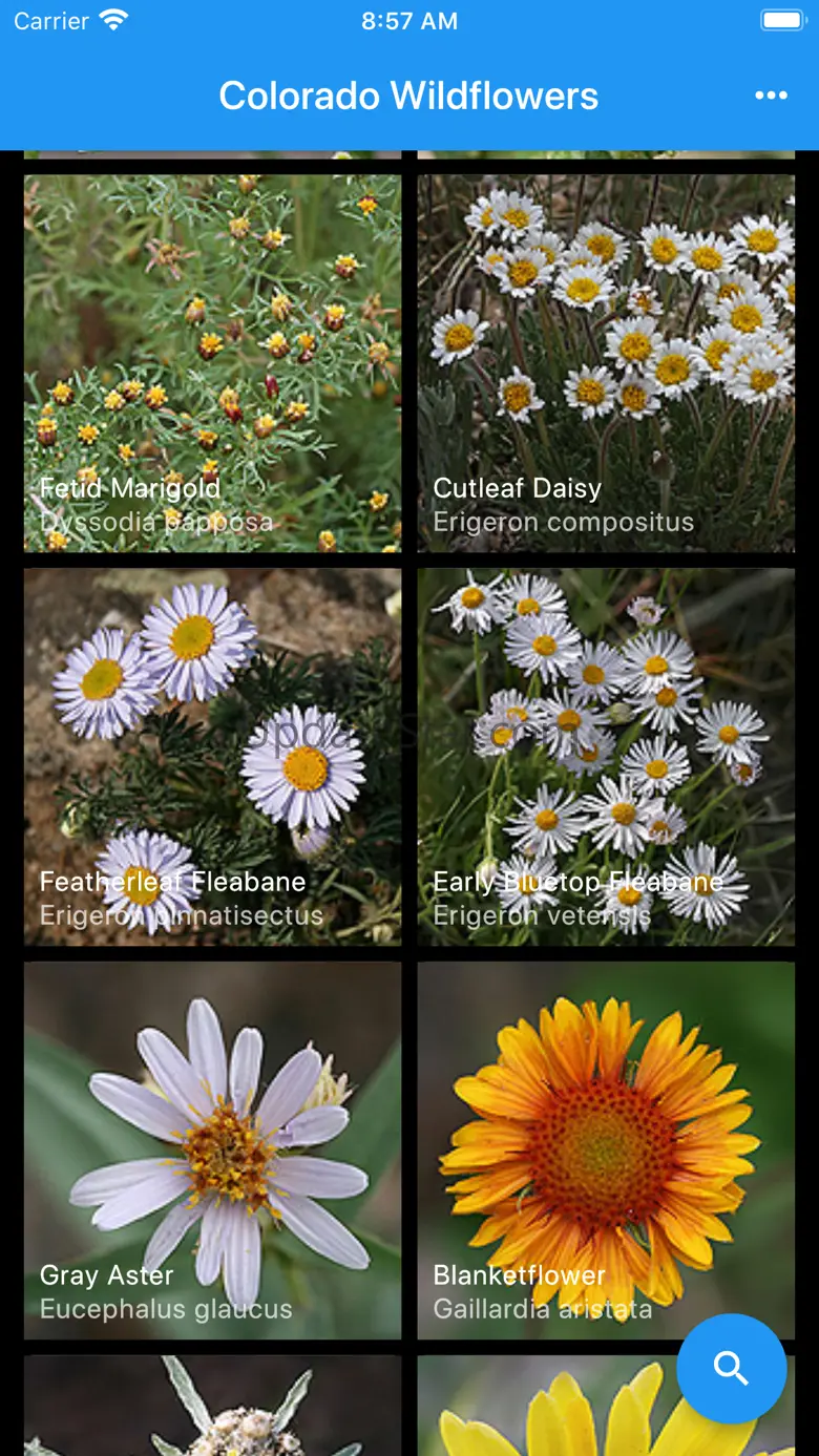 Colorado Wildflowers Guide 2.7.4