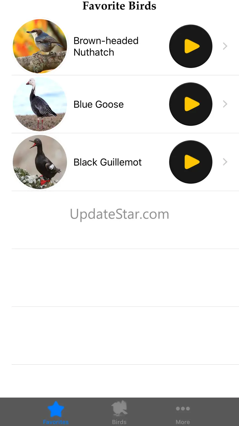 Birds of North America 1.0
