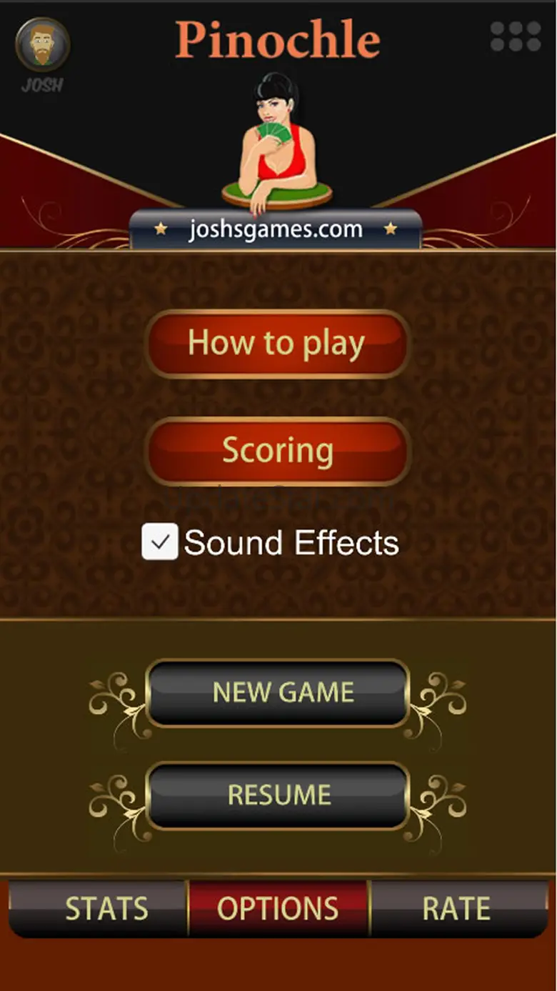 Pinochle.Net 4.1.6