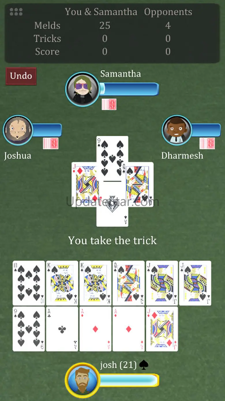 Pinochle.Net 4.1.6