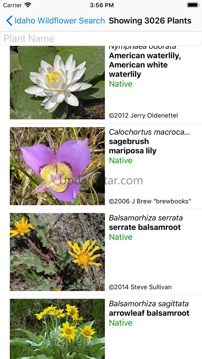 Idaho Wildflower Search 9.1