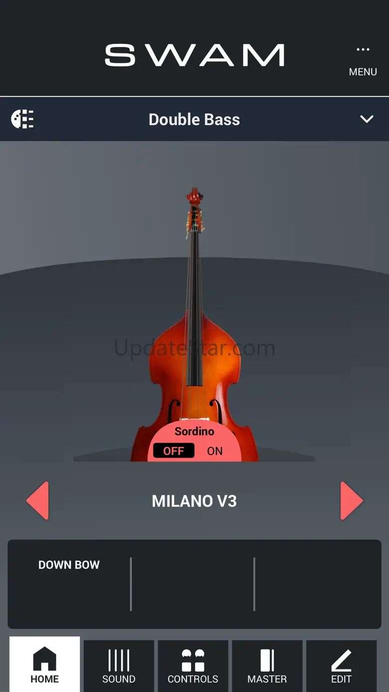 SWAM Double Bass 3.7.2