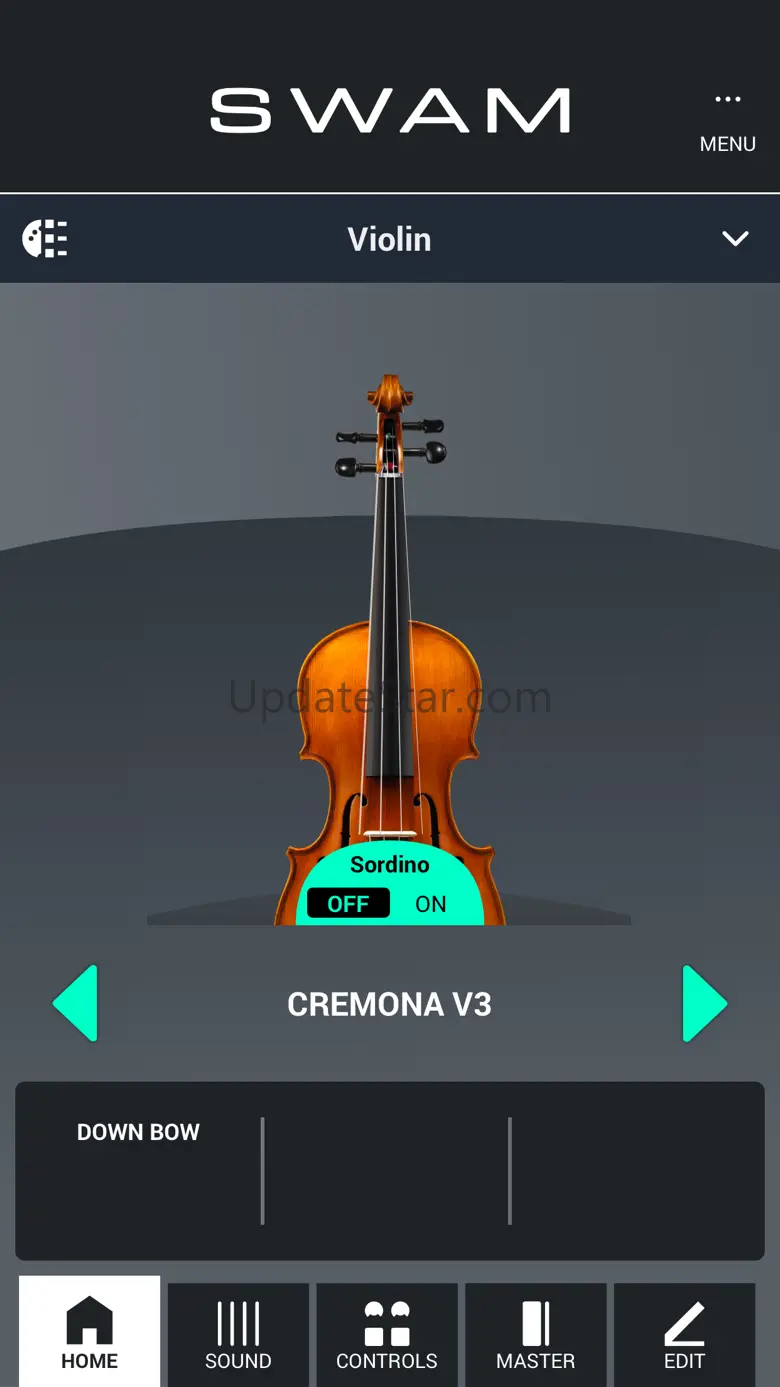 SWAM Violin