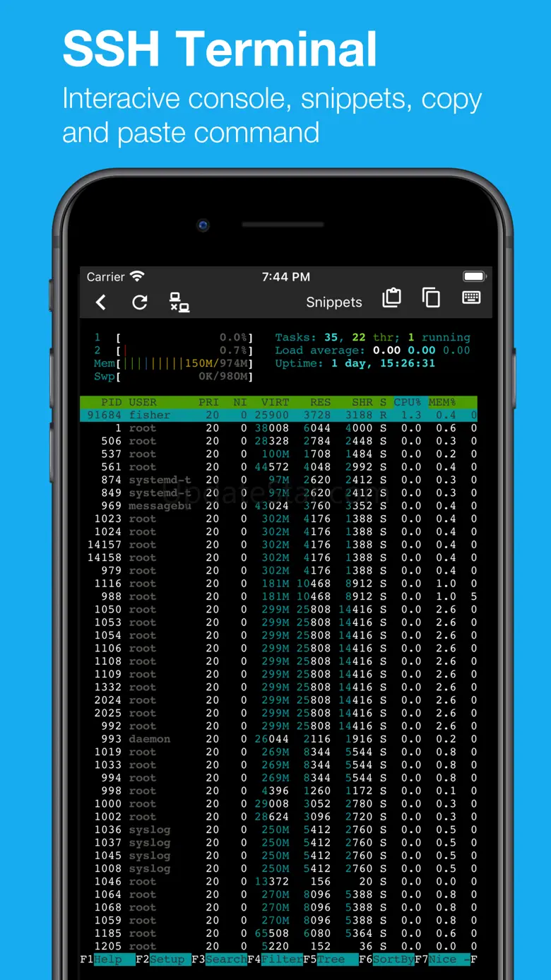 ServerDog Pro: Status, SSH 2.0
