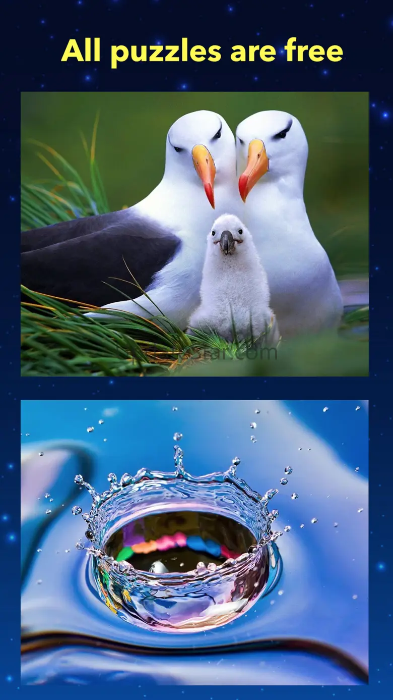 Jigsaw puzzle daily relax 2.0