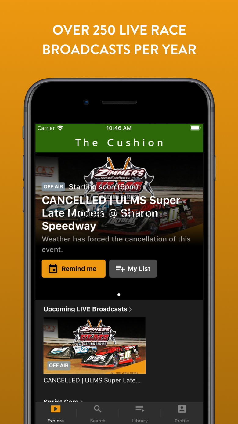 The Cushion 8.600.1