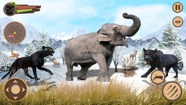 Wild Panther Simulator Games 7.0