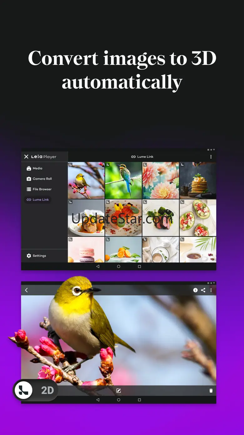 LeiaLink 1.2.109