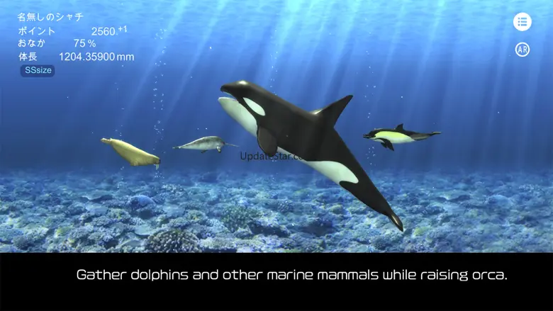 Orca  and marine mammals 1.1.3