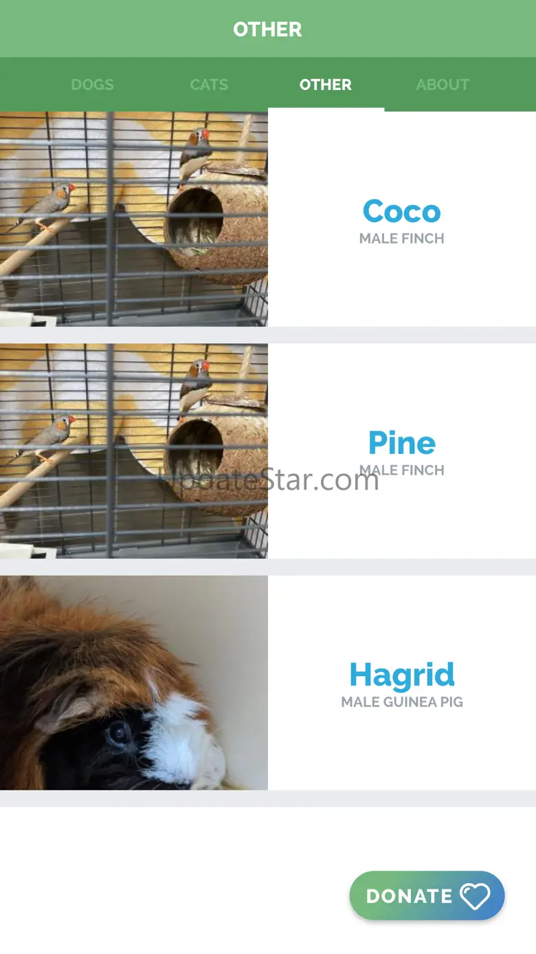 Arlington Pets 2.1.0