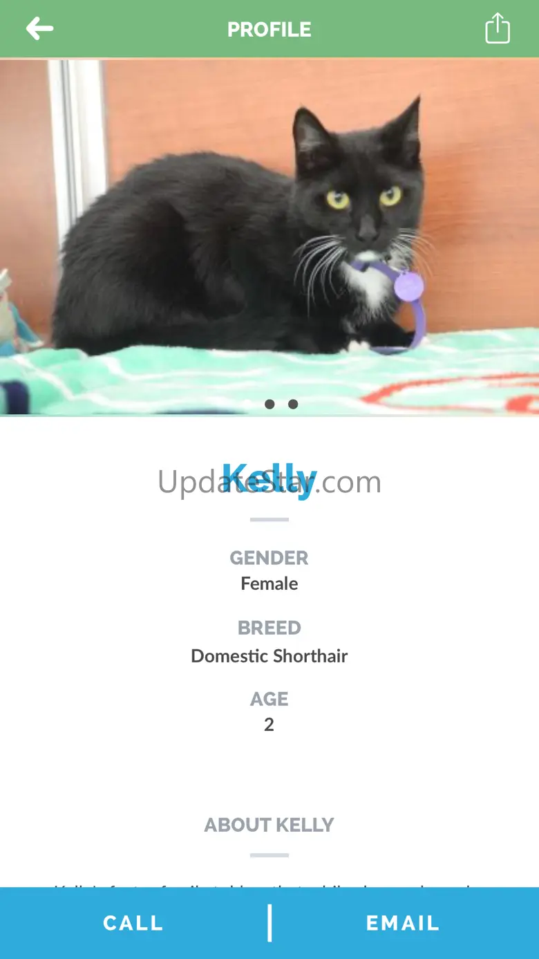 Arlington Pets 2.1.0