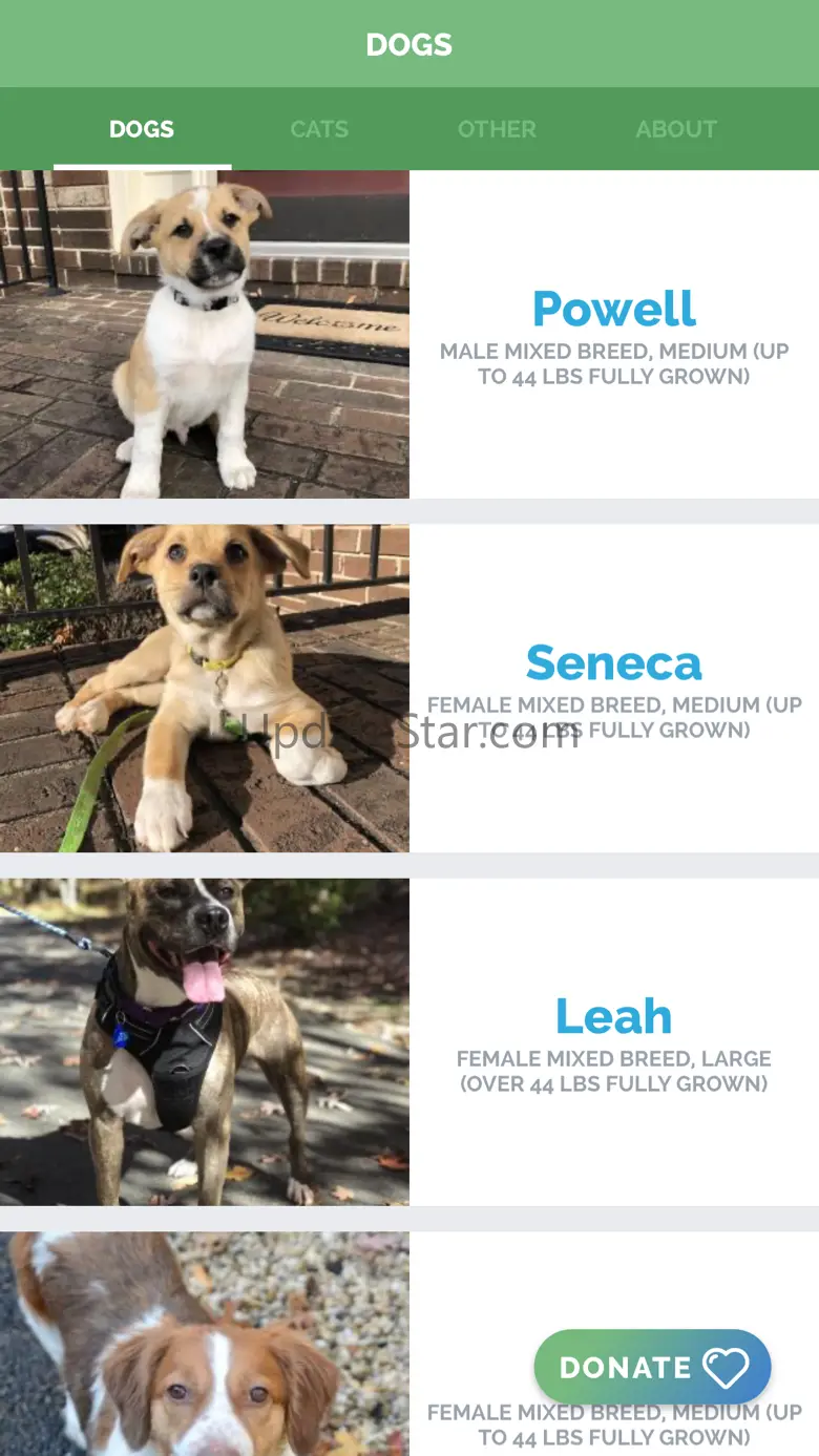 Arlington Pets 2.1.0