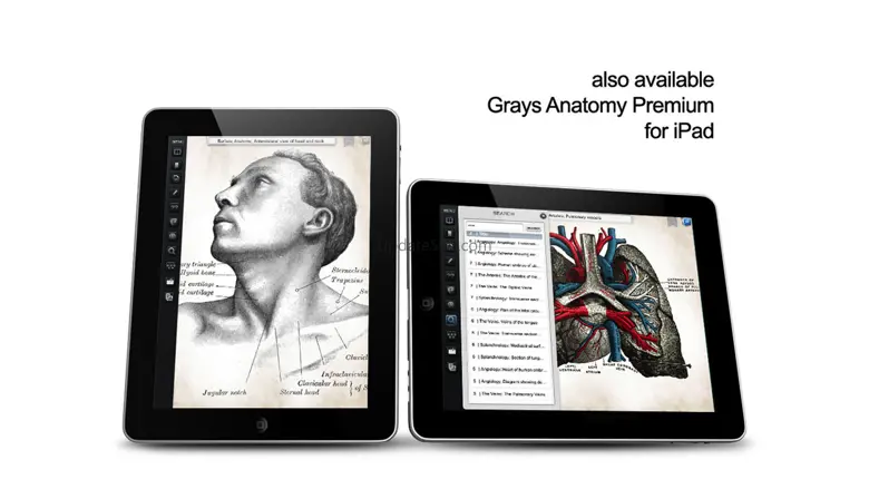 Gray's Anatomy Student Edition 1.7