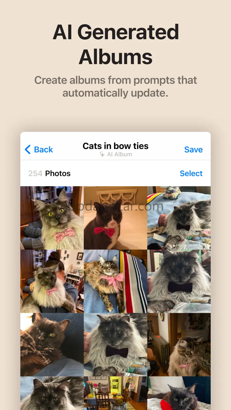 Prompt Photos 0.2.11