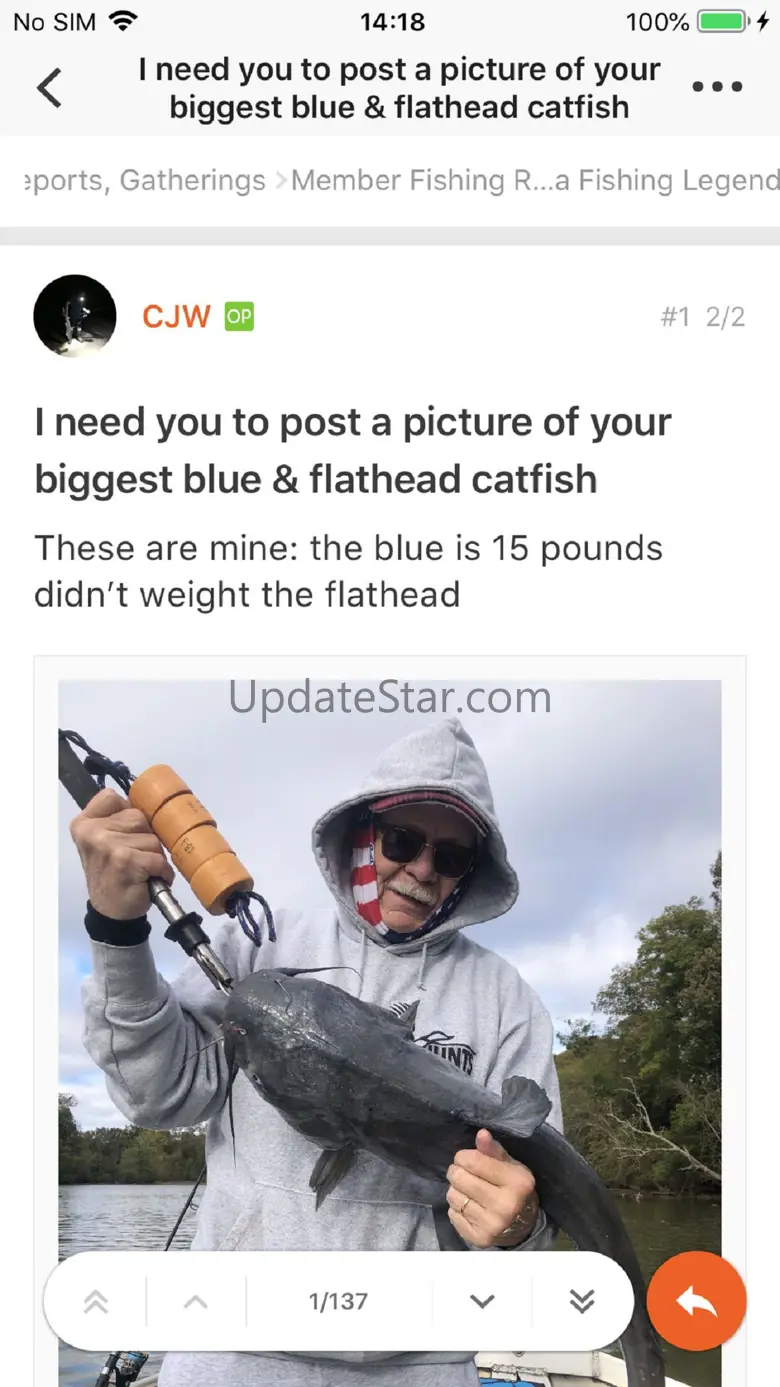 Catfish1 8.10.28