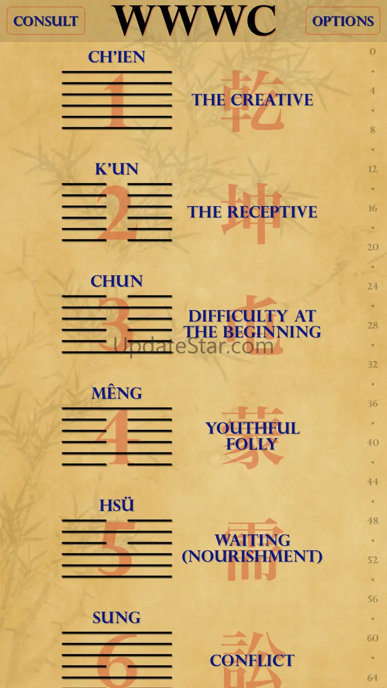 Wei Wu Wei Ching Lite 2.9