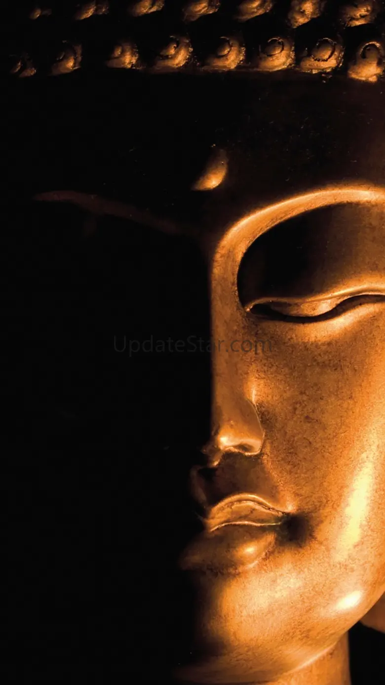 Wei Wu Wei Ching Lite 2.9