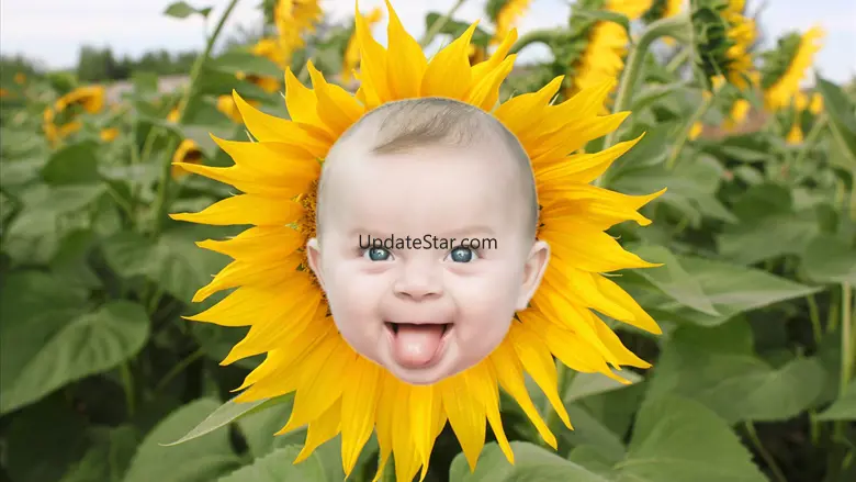 CutOut Superimpose Lasso 1.3