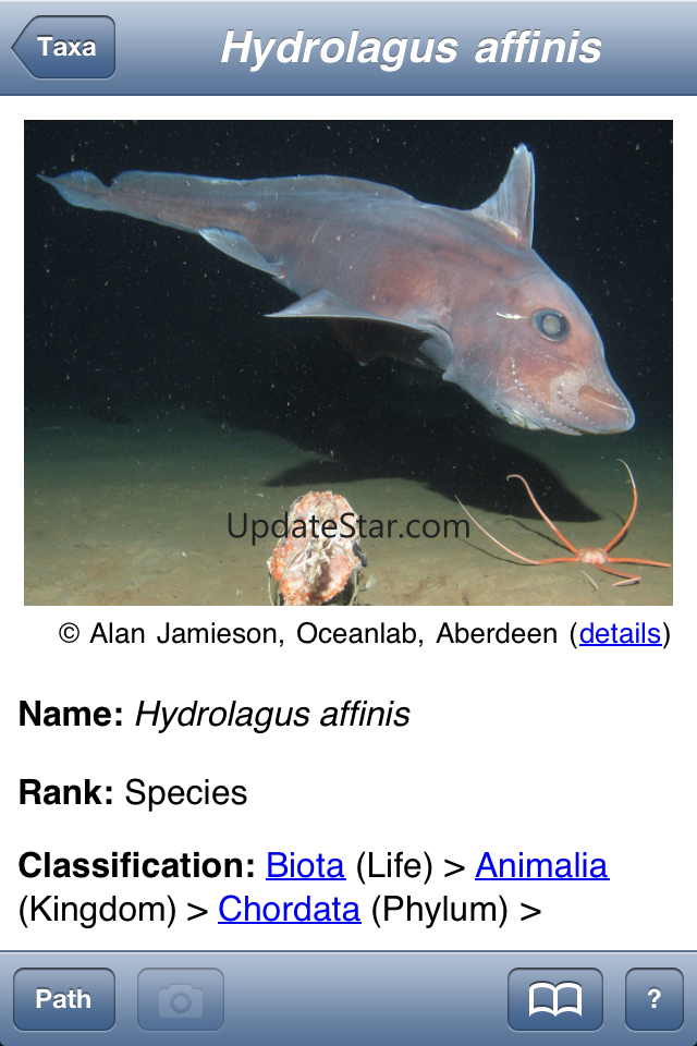 Deep Sea ID 1.2