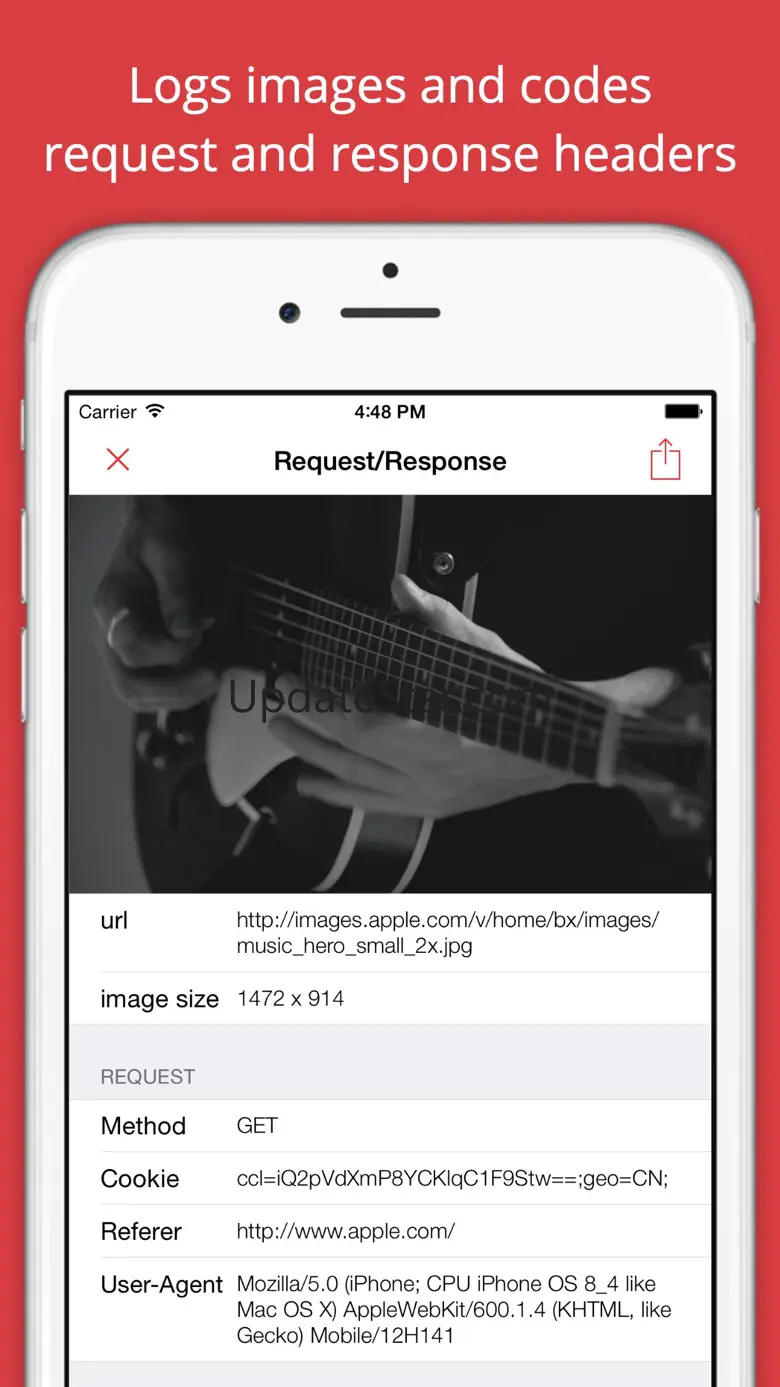 HttpFlow - Capture web request 1.9