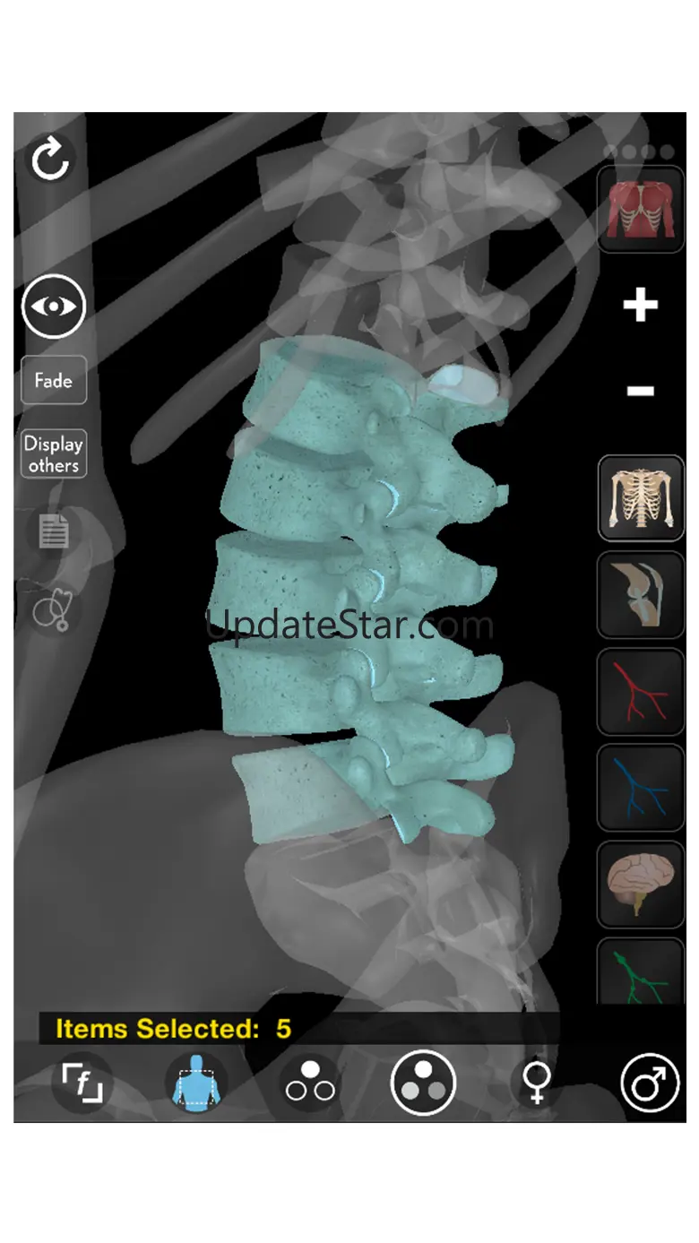 3D Organon Anatomy - Skeleton, Bones, and Ligaments 1.3