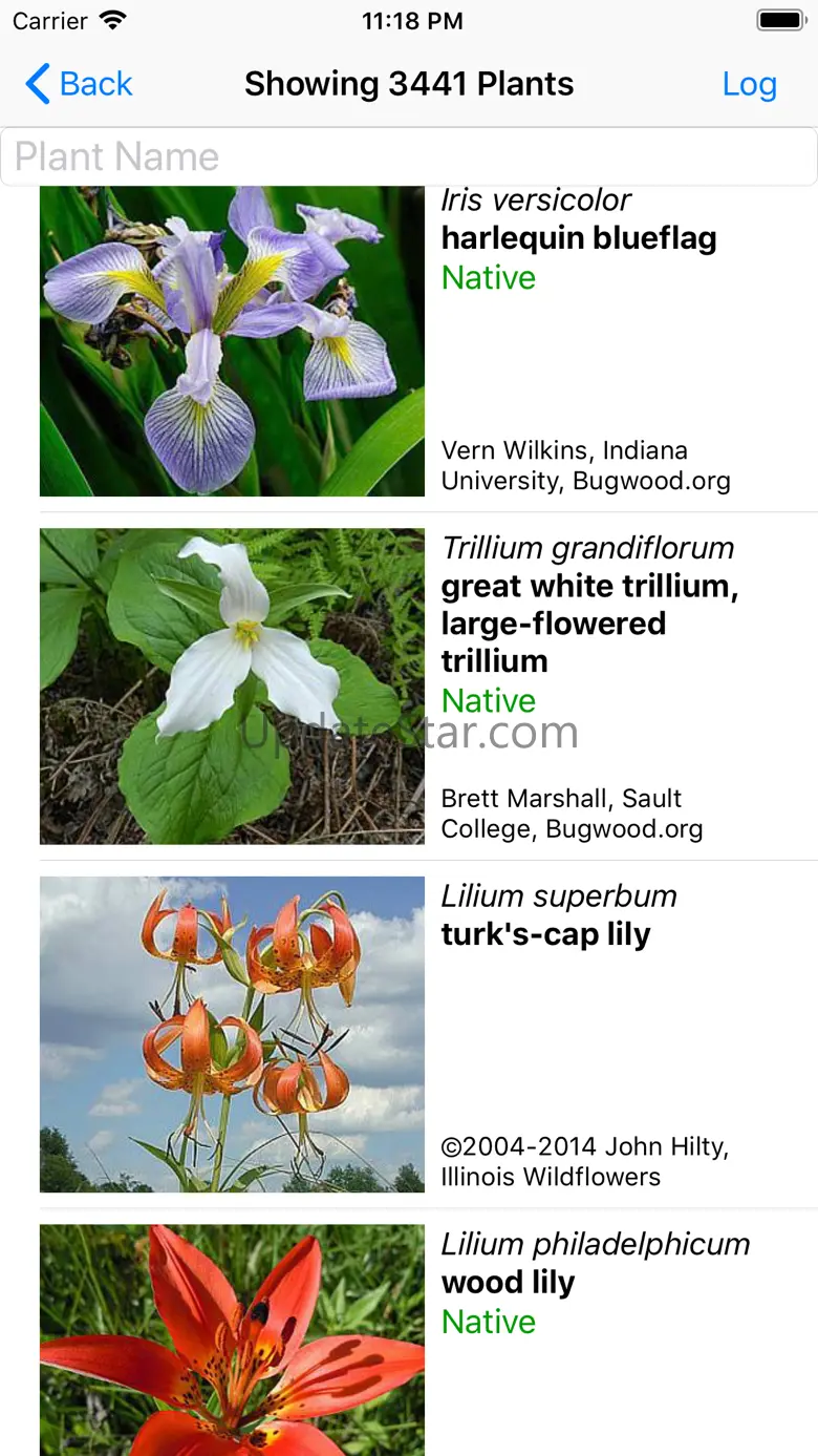New England Wildflowers 9.1