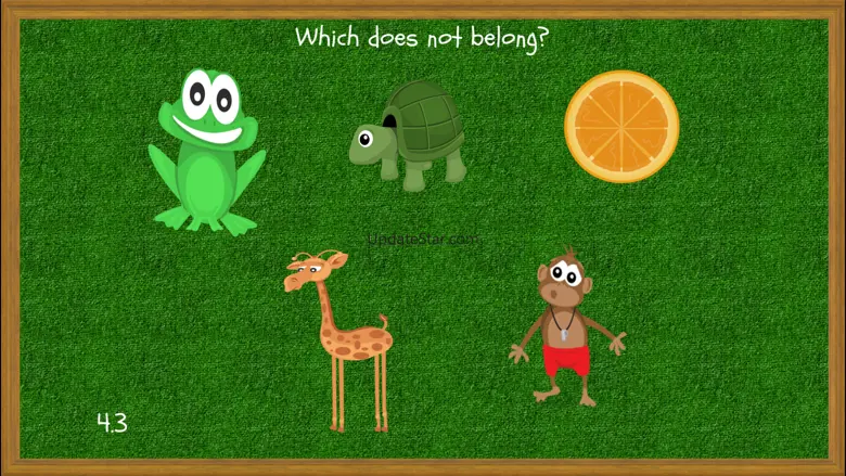 Am I Stupid Test - Stupid Test - Check your Knowledge! 2.0