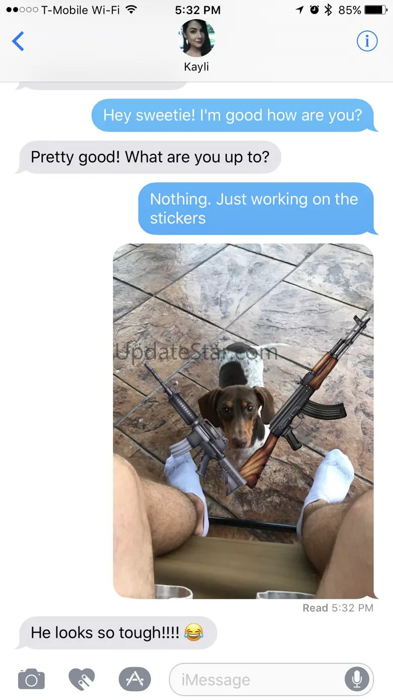 Gun Sticker Pack 2.1