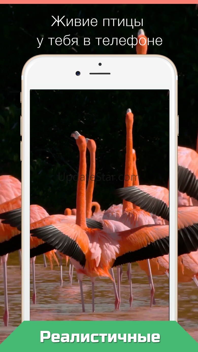 Live Wallpapers for iPhone №1 3.0