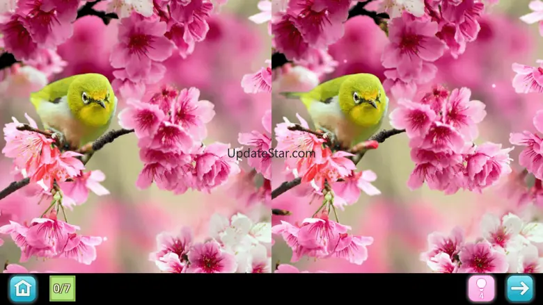 Pinky 2 - Find diff 1.4