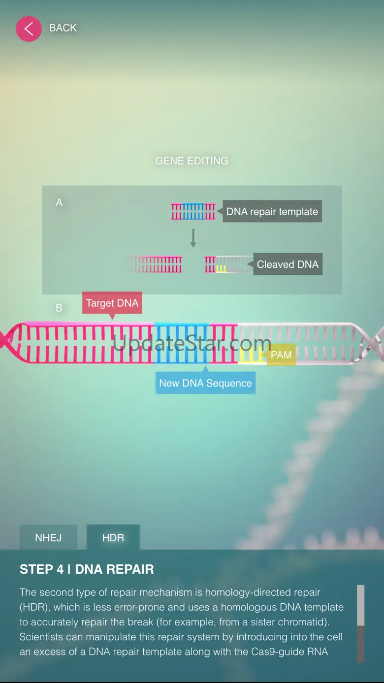 CRISPR-Cas9 1.0
