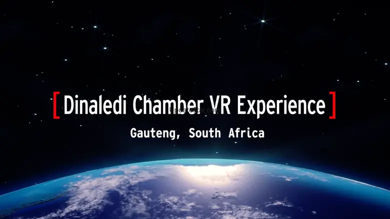 Dinaledi Chamber Perot Museum 1.0