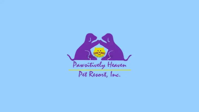 Pawsitively Heaven Cams 1.2