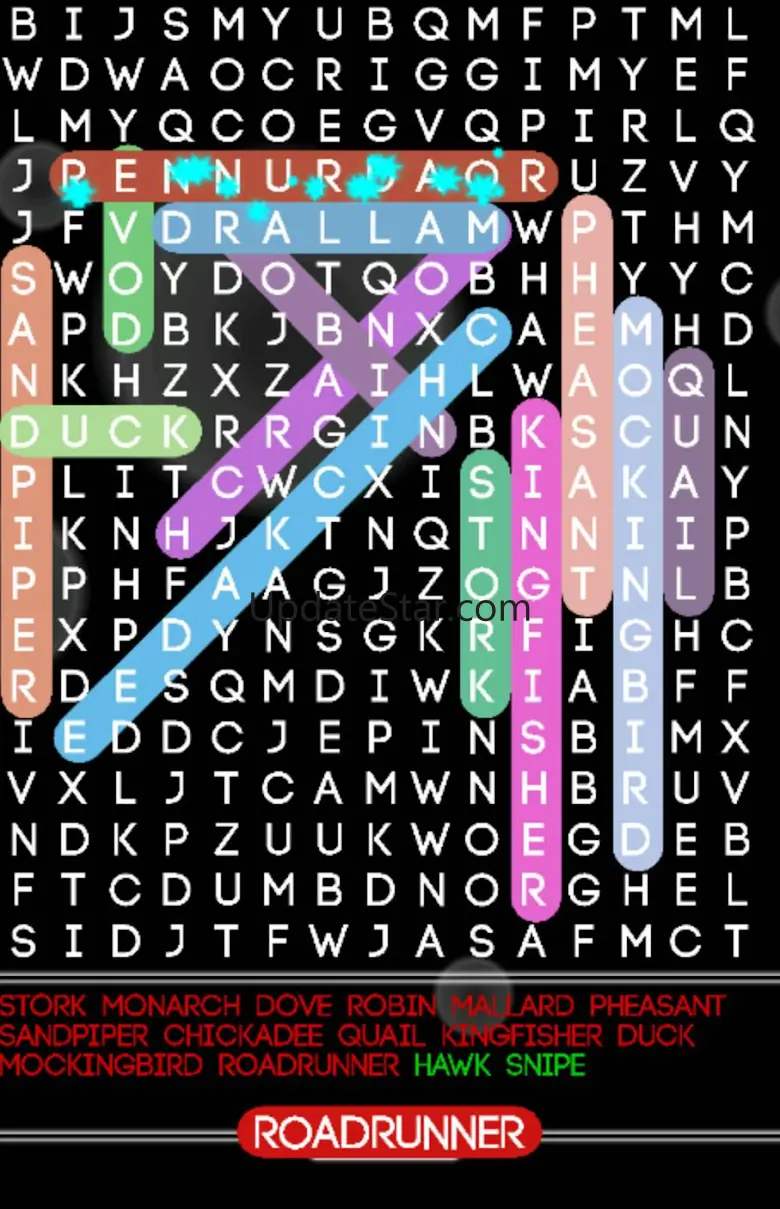 Word Search Puzzle