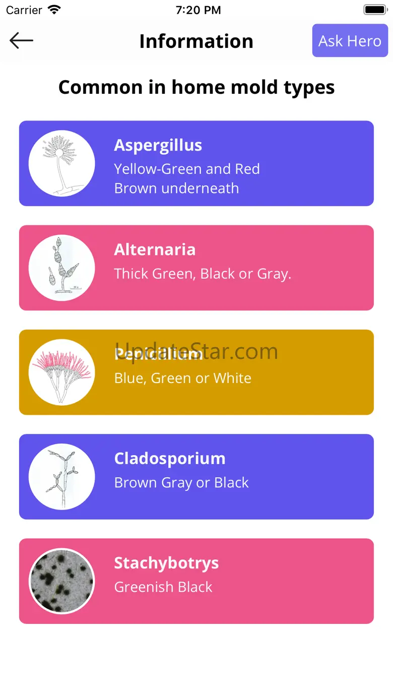 Mold Hero 1.6