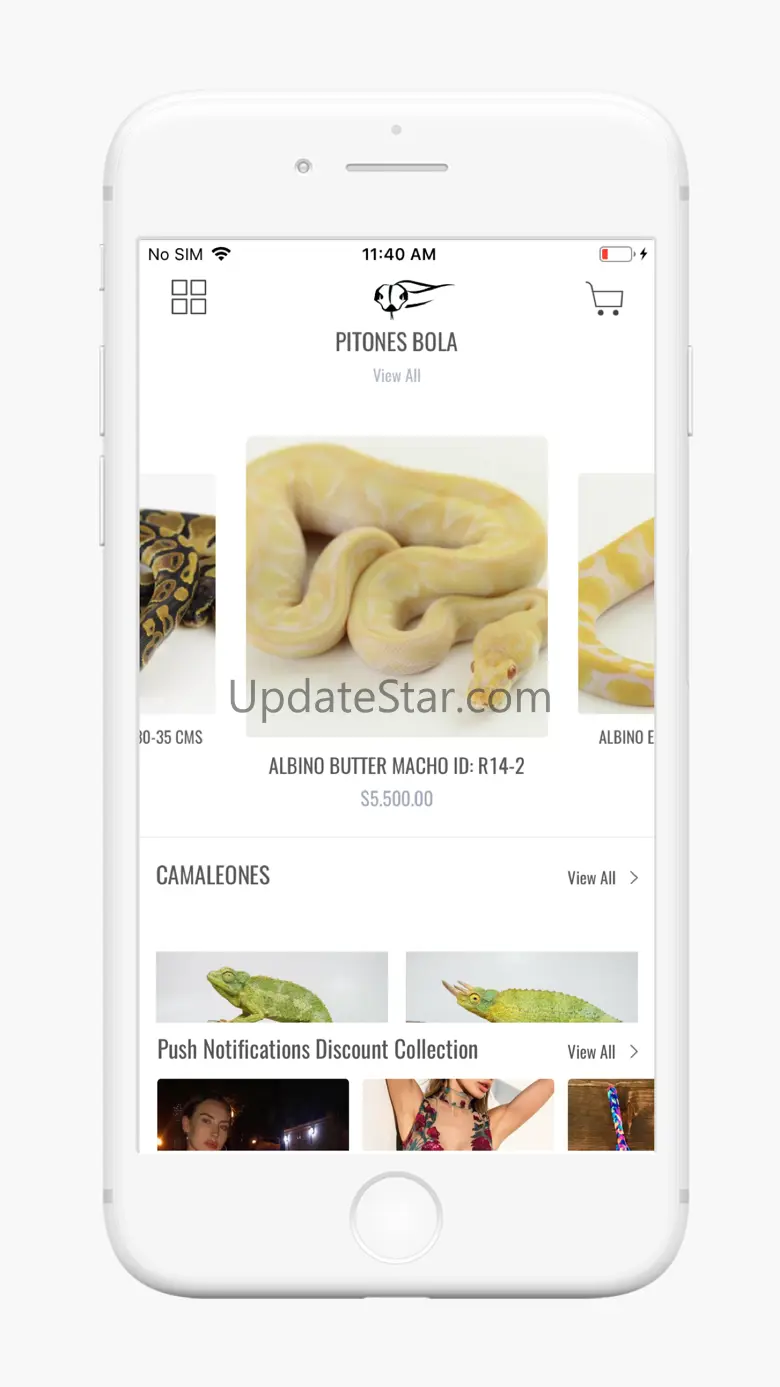 REPTILE TRADE 3.1