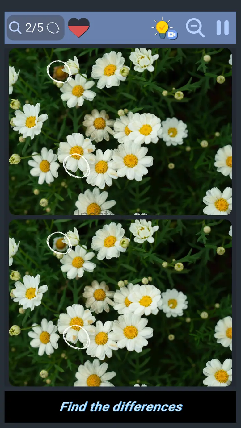 Differences - Find them 1.8