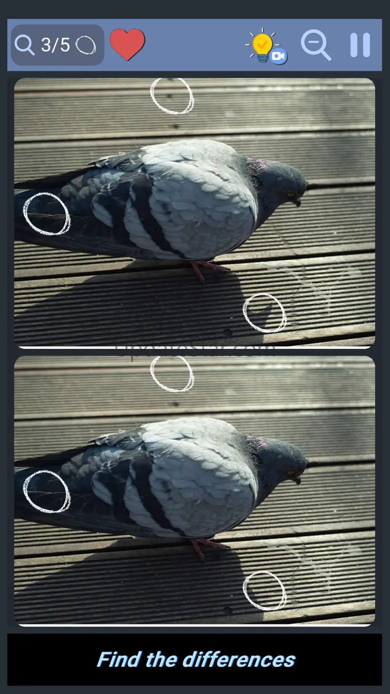 Differences - Find them 1.8