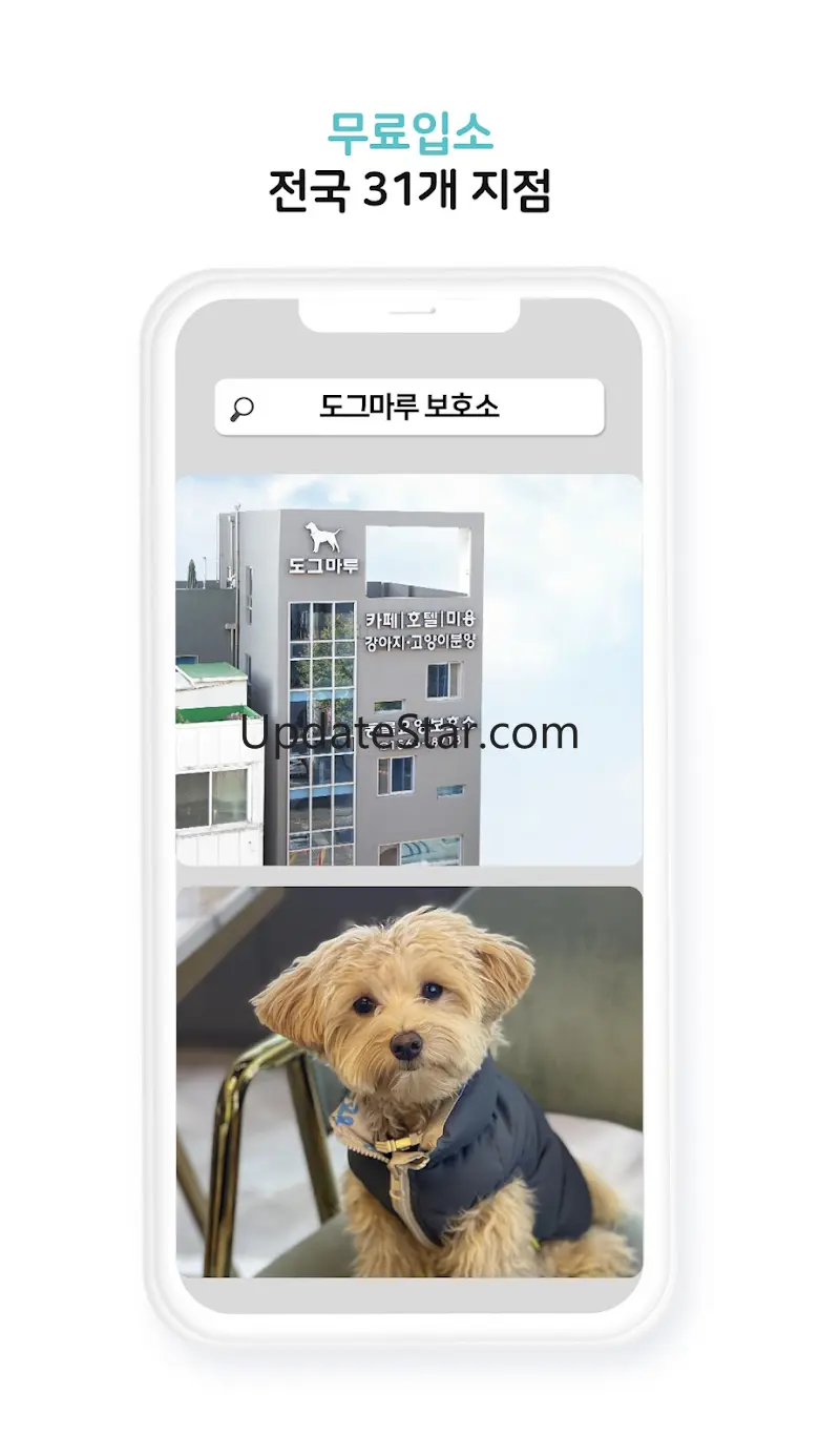 도그마루 보호소 - 강아지입양 고양이입양 유기동물보호소 10.10.03