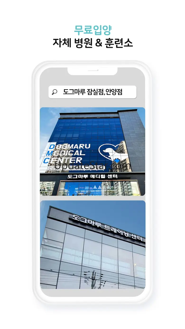 도그마루 보호소 - 강아지입양 고양이입양 유기동물보호소 10.10.03