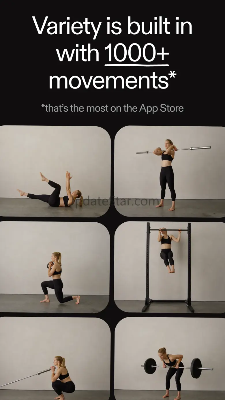Programme — Workout Plans 1.1.4