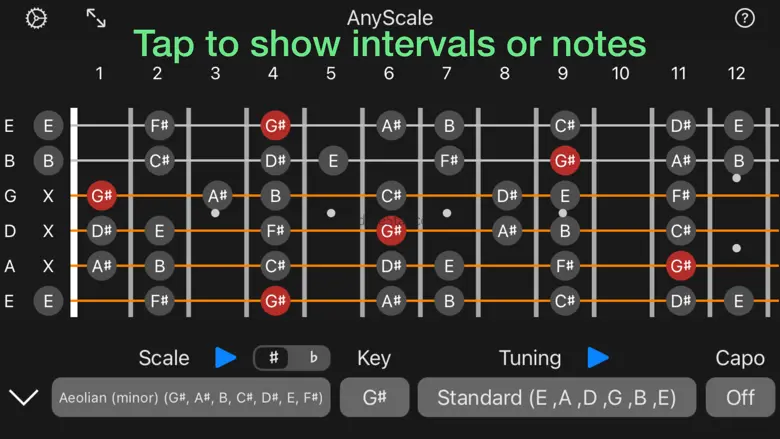 AnyScale - Tunings & Scales 1.3.0